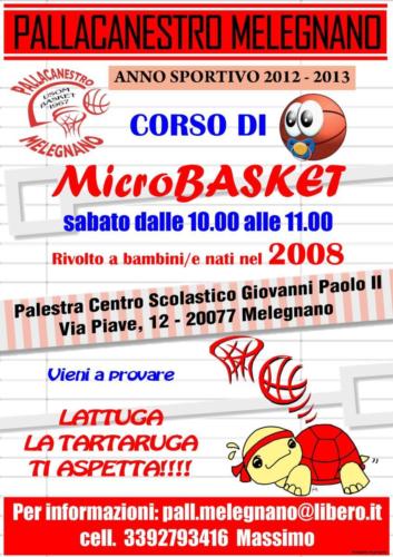 Leva 2012-2013 Micro Basket 02-1